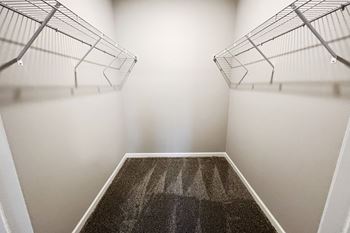 A spacious room with two closets and a carpeted floor